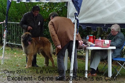 Des Plaines D'epona - Flint des Plaines d'Epona à Cluny 2011