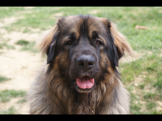 Flash Des Plaines D'epona