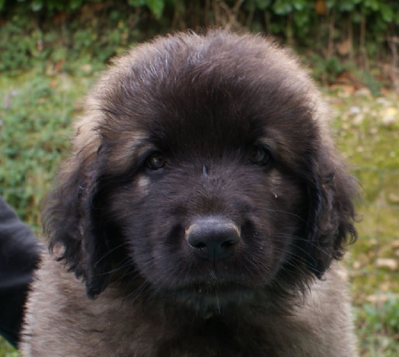 Bébés à 7,5 semaines